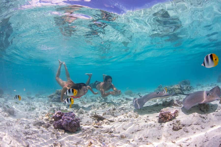 Bora Bora Luxury Tour and Beach Picnic - A six-hour look at Bora Bora’s lagoon