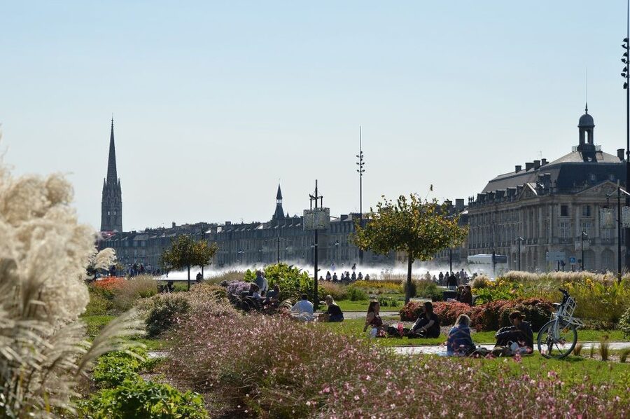 Bordeaux: Exclusive Private Guided Walking Tour - Wine advice that extends beyond the walk