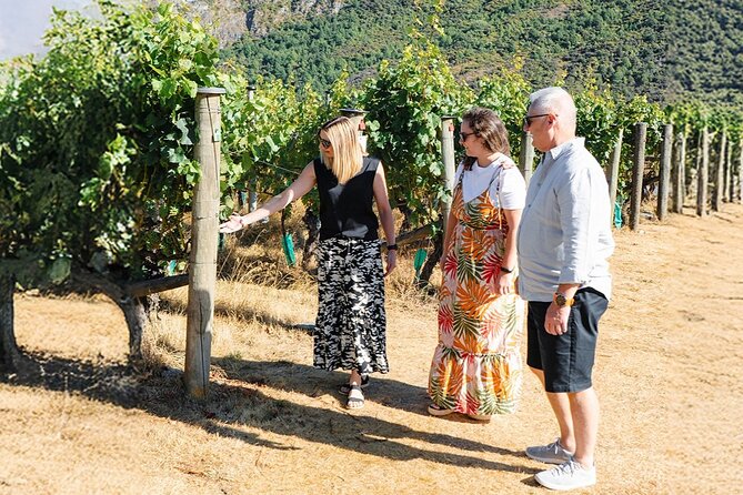 Boutique Wine Tour - visit Central Otago, 4 Wineries & Lunch - The guides make a real difference