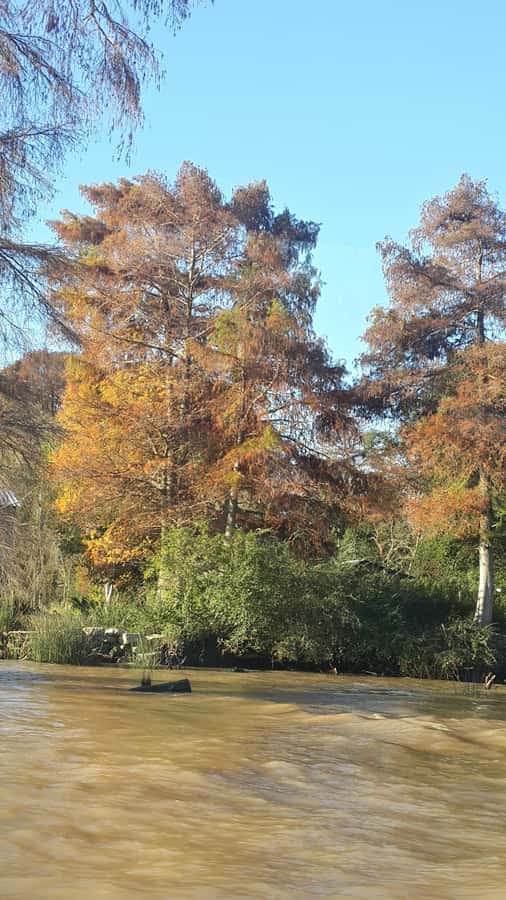 Buenos Aires: "Ticket"- 2hs of Navigation Premium to Tigre - Who will enjoy this boat ride most