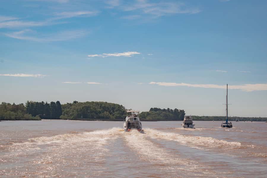 Buenos Aires: "Ticket"- 2hs of Navigation Premium to Tigre - The Río de la Plata view from the boat