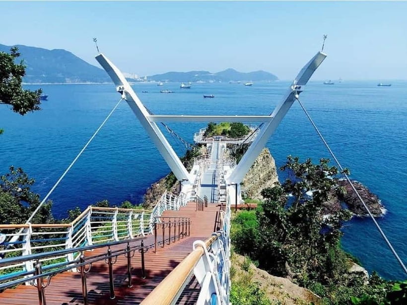 Busan: Cruise Port – Premium Small Group Tour (Max 6 Guests) - Cherry blossoms, Gwangandaegyo Bridge, and the road between sights