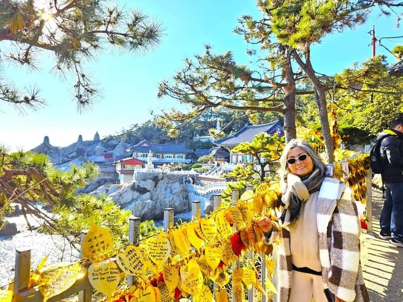 Busan: Cruise Port – Premium Small Group Tour (Max 6 Guests) - BIFF Square, Gukje Market, and the city’s commercial heart