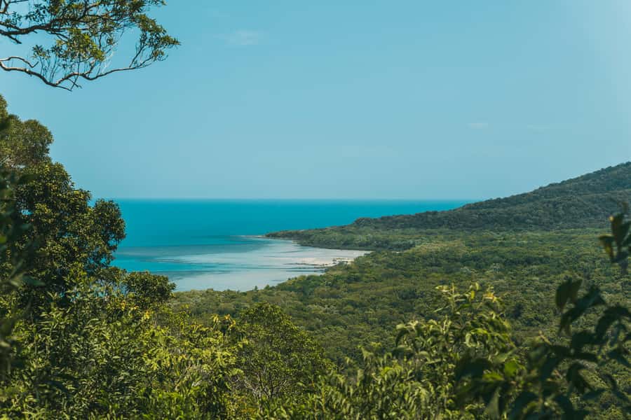 Cairns: Cape Tribulation & Daintree Rainforest Premium Tour - Why this tour works for a first Daintree visit