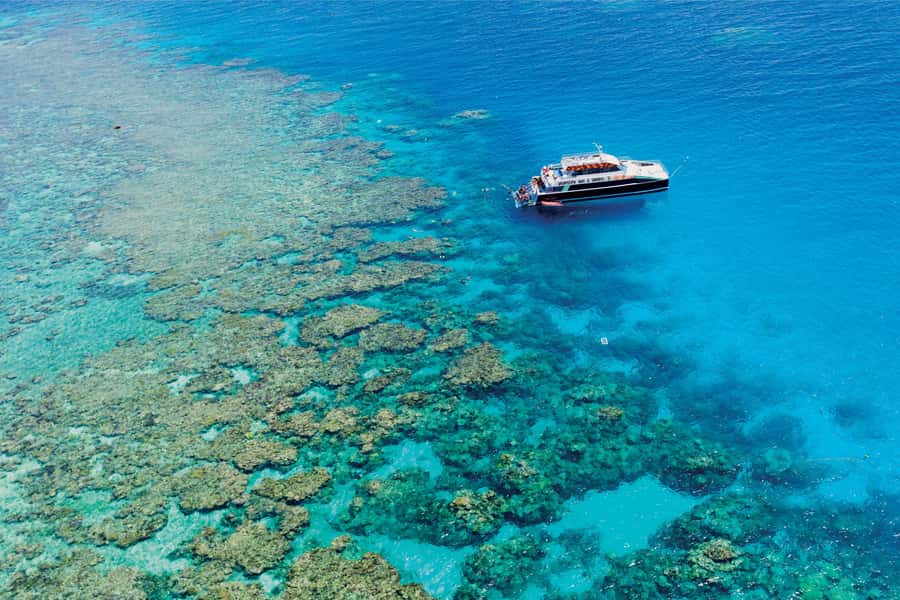 Cairns: Great Barrier Reef Premium Diving Full Day Tour - Leaving Cairns Marlin Marina