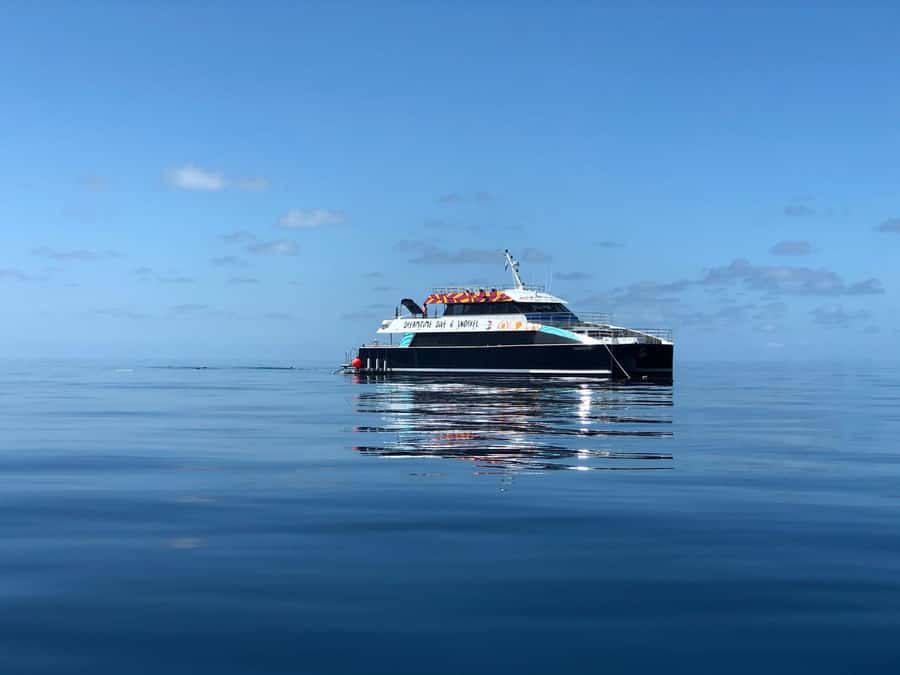 Cairns: Great Barrier Reef Premium Diving Full Day Tour - First reef site: coral gardens and an easy start