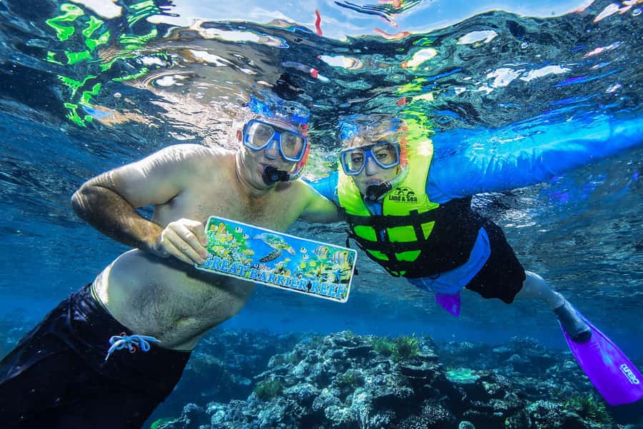 Cairns: Great Barrier Reef Premium Diving Full Day Tour - The crew, science, and safety
