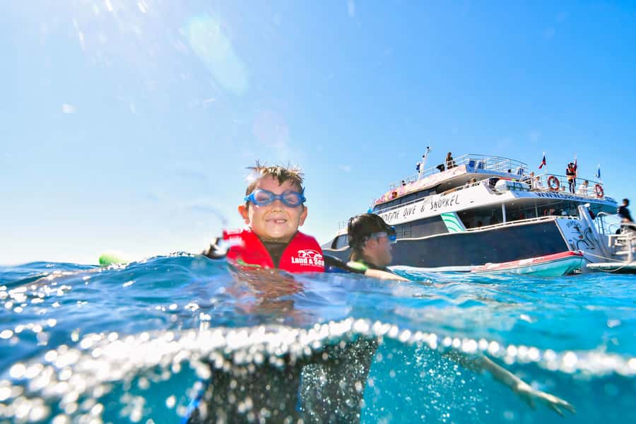 Cairns: Great Barrier Reef Premium Diving Full Day Tour - What the $127 price really covers