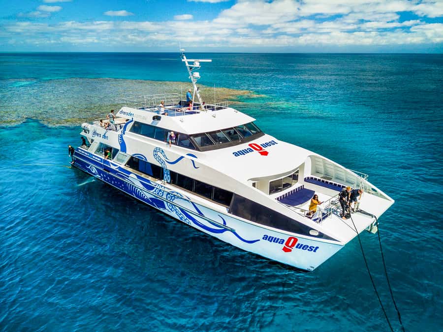 Cairns: Premium Snorkelling and Diving Reef Day Trip - Five hours on the Great Barrier Reef