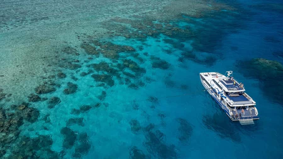 Cairns: Premium Snorkelling and Diving Reef Day Trip - The first reef stop
