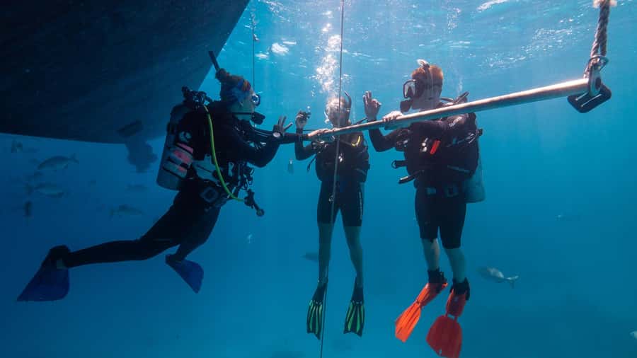 Cairns: Premium Snorkelling and Diving Reef Day Trip - The second reef site
