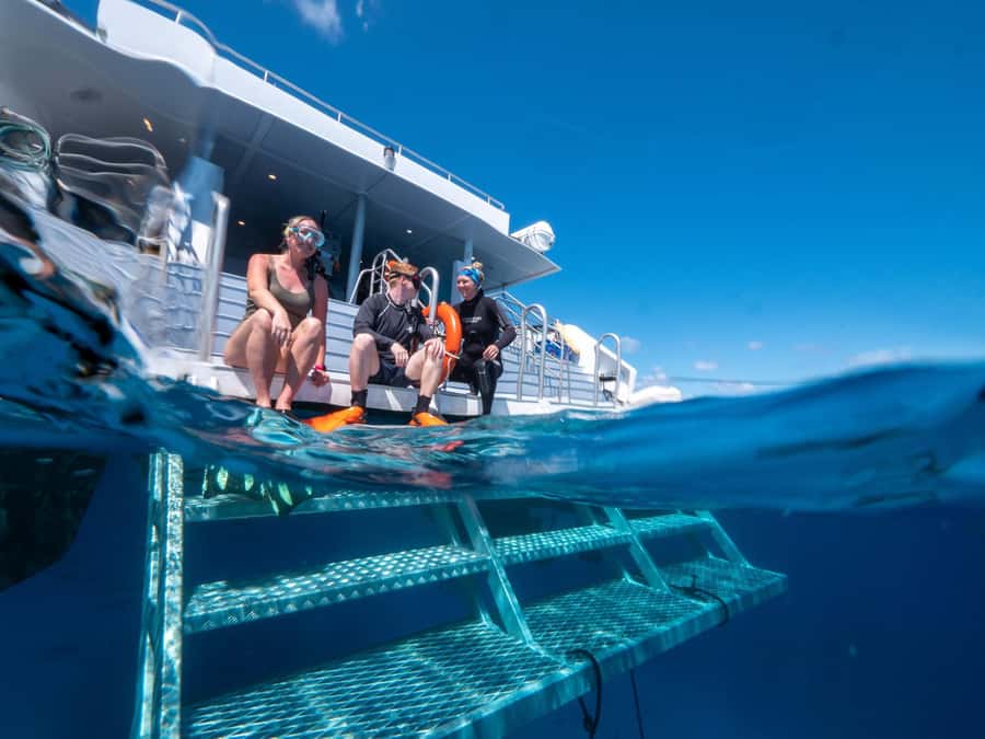 Cairns: Premium Snorkelling and Diving Reef Day Trip - What the $166 price includes