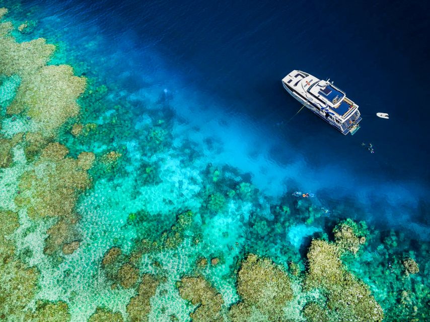 Cairns: Premium Snorkelling and Diving Reef Day Trip - Practical packing advice for an 8:00 AM check-in