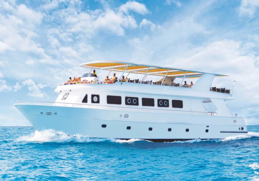 Cairo: Luxury Snorkeling Cruise & lunch with optional pickup - From Cairo to the Red Sea