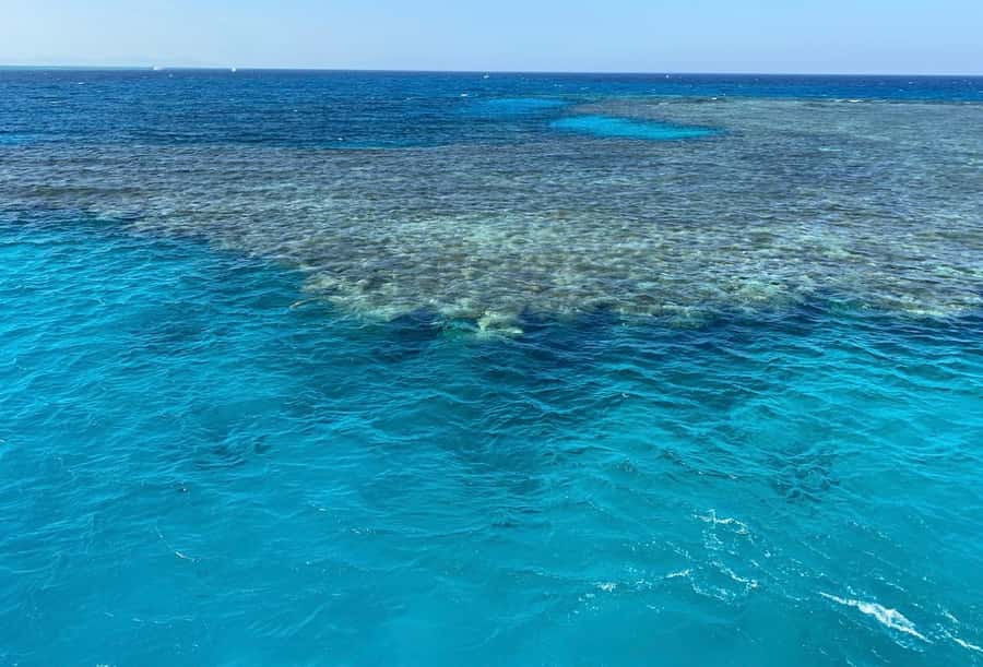 Cairo to Red Sea: VIP Yacht Cruise, Snorkeling & Lunch - A one-hour cruise toward Jabal el Sakka