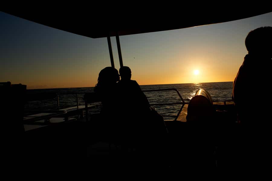 Cape Town: 1.5-Hour Luxury Sunset Cruise with Prosecco - Wildlife sightings are a bonus, not a promise