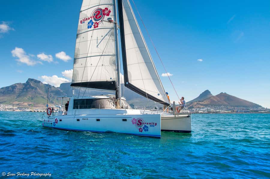 Cape Town: 1.5-Hour Luxury Sunset Cruise with Prosecco - Two glasses of sparkling wine and a lively mood