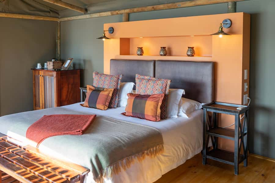 Cape Town: 2-Day Wildlife Tour with Safaris and Luxury Stay - Who should book this two-day safari?