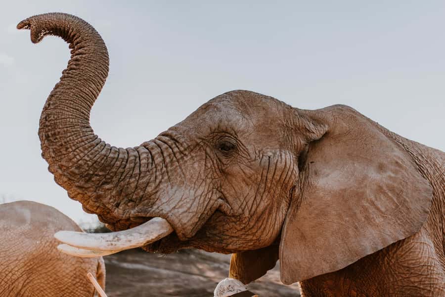 Cape Town: 2-Day Wildlife Tour with Safaris and Luxury Stay - Leaving Cape Town for Botlierskop