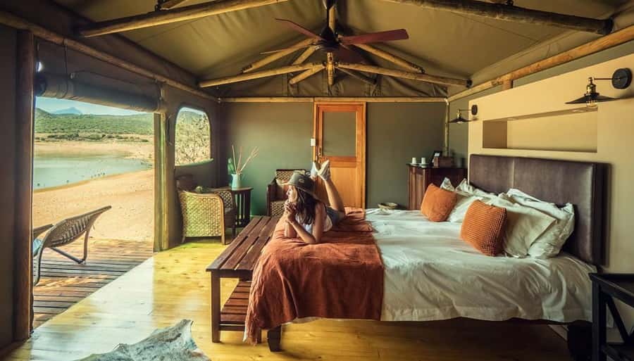 Cape Town: 2-Day Wildlife Tour with Safaris and Luxury Stay - A night at Buffelsdrift Lodge