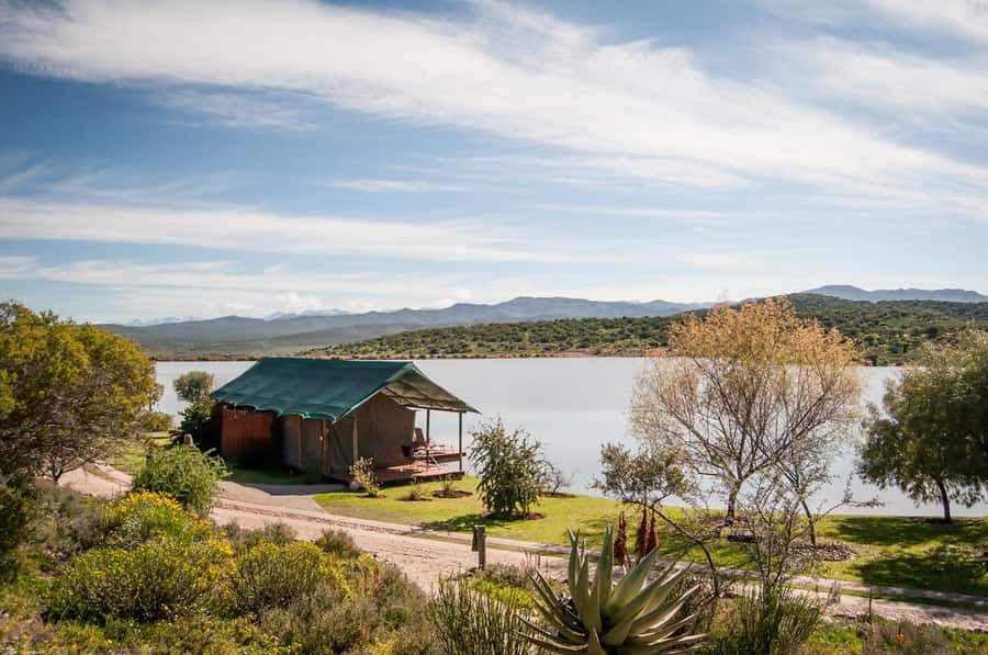 Cape Town: 2-Day Wildlife Tour with Safaris and Luxury Stay - Buffelsdrift’s bush drive on Day 2