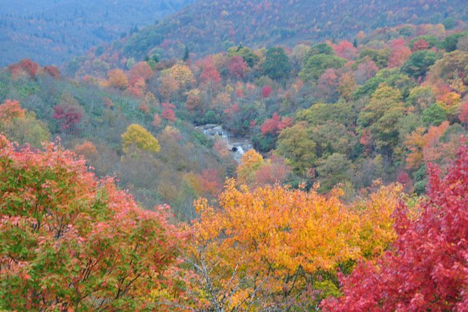 Carolina Waterfalls and Highlands Private VIP Boutique Tour - A slower pause at Cliffside Lake