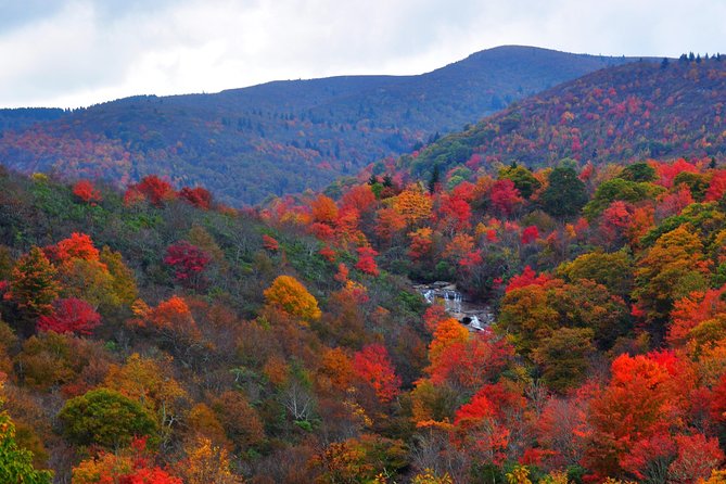 Carolina Waterfalls and Highlands Private VIP Boutique Tour - Whitewater Falls and the biggest numbers of the day