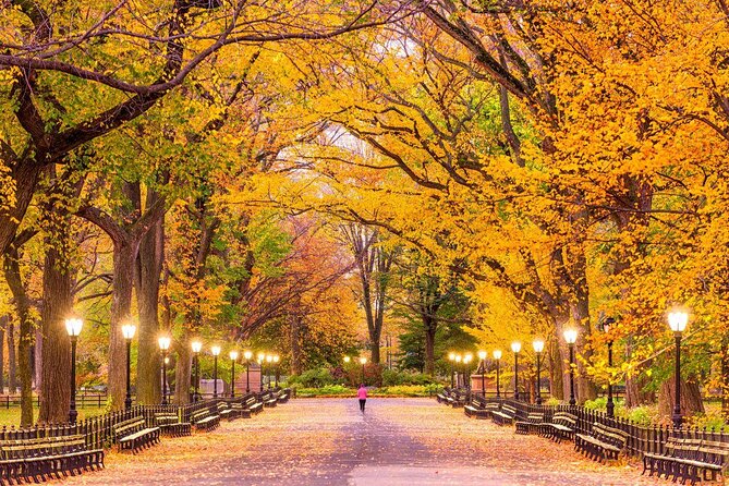 Carriage Ride in Central Park (VIP - PRIVATE) Since 1964™ - A quiet hour in the middle of Manhattan