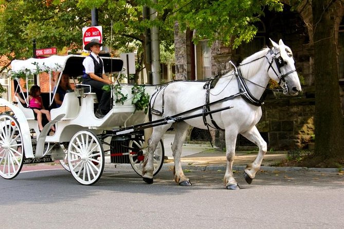 Carriage Ride in Central Park (VIP - PRIVATE) Since 1964™ - Wollman Rink, the Carousel, and the Plaza Hotel