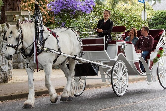 Carriage Ride in Central Park (VIP - PRIVATE) Since 1964™ - Loeb Boathouse and Bethesda Fountain