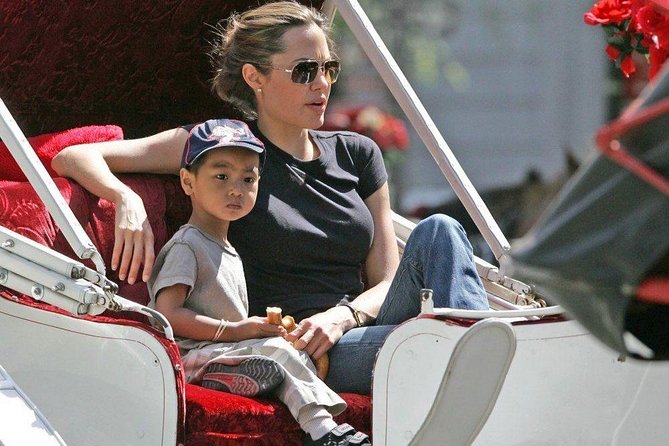 Carriage Ride in Central Park (VIP - PRIVATE) Since 1964™ - The Lake, Cherry Hill, and Bow Bridge