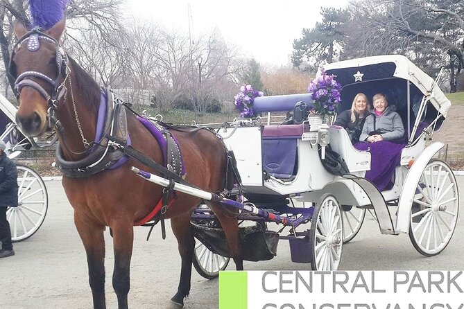 Carriage Ride in Central Park (VIP - PRIVATE) Since 1964™ - Strawberry Fields and the Dakota Building