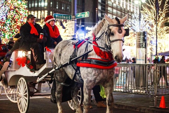 Carriage Ride in Central Park (VIP - PRIVATE) Since 1964™ - Literary Mall and the Balto statue
