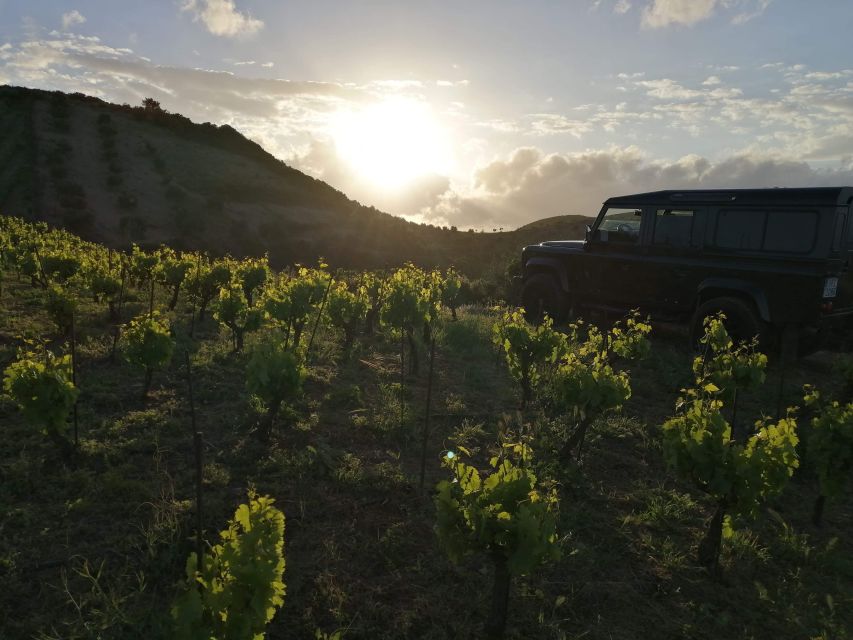 Chania 4x4 Sunset Safari Tour - What the $93 price really covers