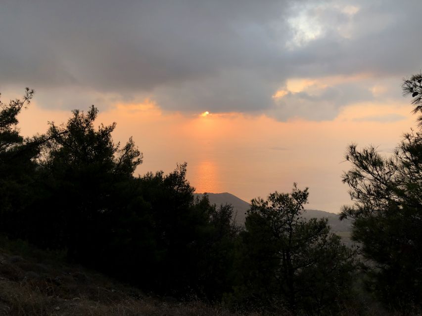 Chania 4x4 Sunset Safari Tour - Who will enjoy this safari most