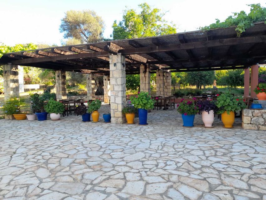 Chania 4x4 Sunset Safari Tour - Orange groves, olive trees, and the road through Vatolakkos