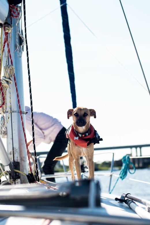 Charleston: Private BYOB Luxury Yacht Cruise - Charleston Battery from the water
