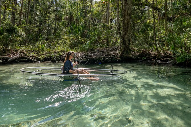 Chassahowitzka River Clear Kayak Springs & Manatee Tours - Paddling toward Baird Creek