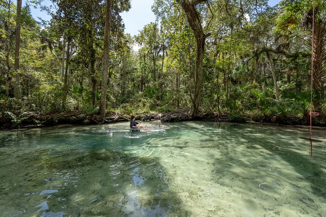 Chassahowitzka River Clear Kayak Springs & Manatee Tours - Seven Sisters Springs and the underwater passages