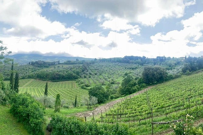 Chianti Vineyards Tours in Private Luxury Van from Florence - What the €829.51 group price really buys