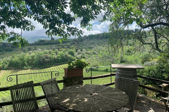 Chianti Vineyards Tours in Private Luxury Van from Florence - San Casciano and the garden at l’Apparita Estate