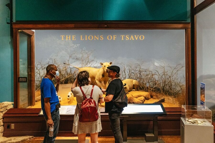 Chicago: Field Museum of Natural History Ticket or VIP Tour - Key points to know