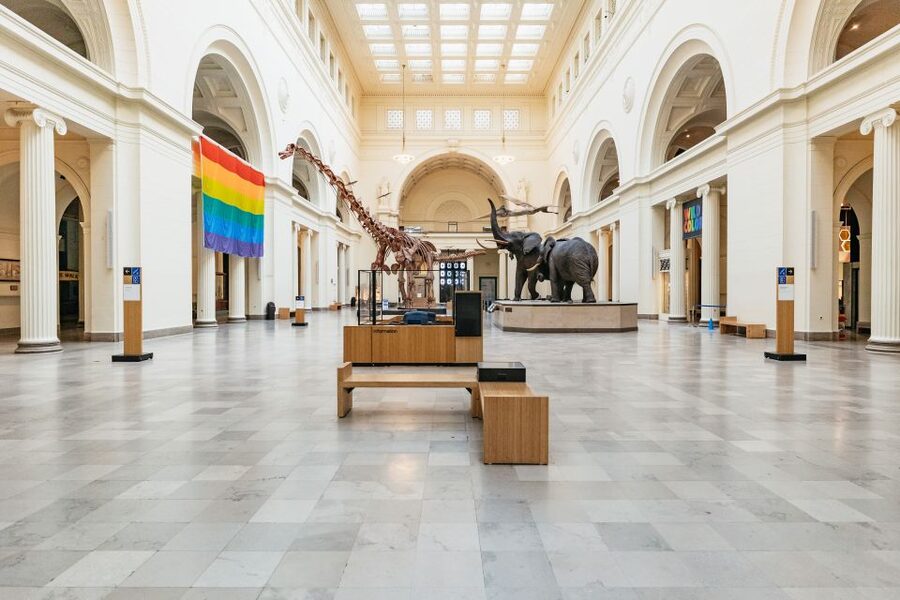Chicago: Field Museum of Natural History Ticket or VIP Tour - Ancient worlds beyond the dinosaur hall