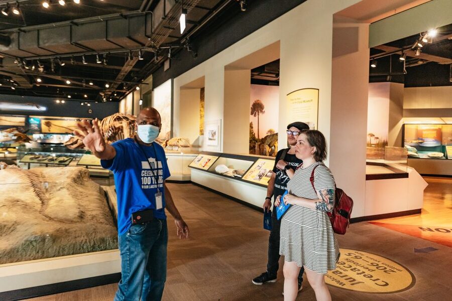 Chicago: Field Museum of Natural History Ticket or VIP Tour - Lions of Tsavo and the uneasy side of old museums
