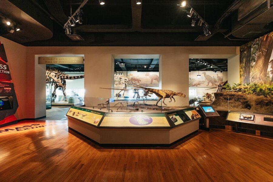 Chicago: Field Museum of Natural History Ticket or VIP Tour - Gems, jade, and Underground Adventure