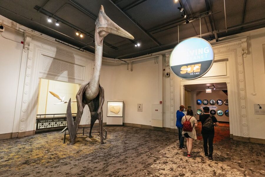 Chicago: Field Museum of Natural History Ticket or VIP Tour - How long you need inside