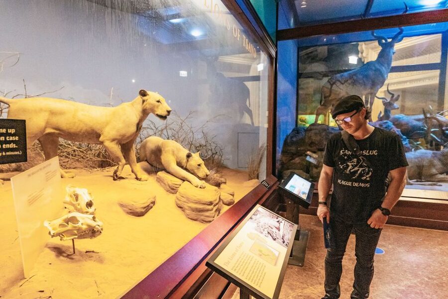 Chicago: Field Museum of Natural History Ticket or VIP Tour - Is $29 good value?