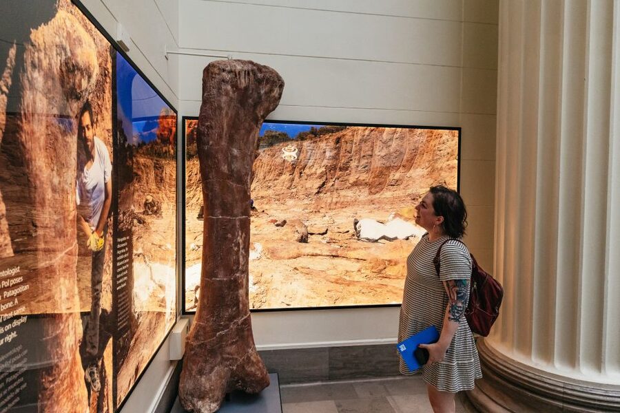 Chicago: Field Museum of Natural History Ticket or VIP Tour - Four ways to buy your day