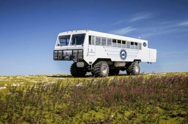 Churchill: Exclusive Tundra Buggy Day Trip - Food, toilets, and the realities of an eight-hour day