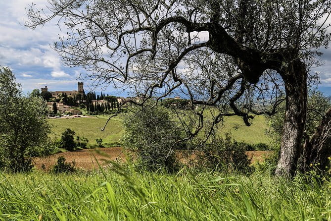 Cinque Terre & Pisa Premium Tour from Florence - The boat ride and the weather question